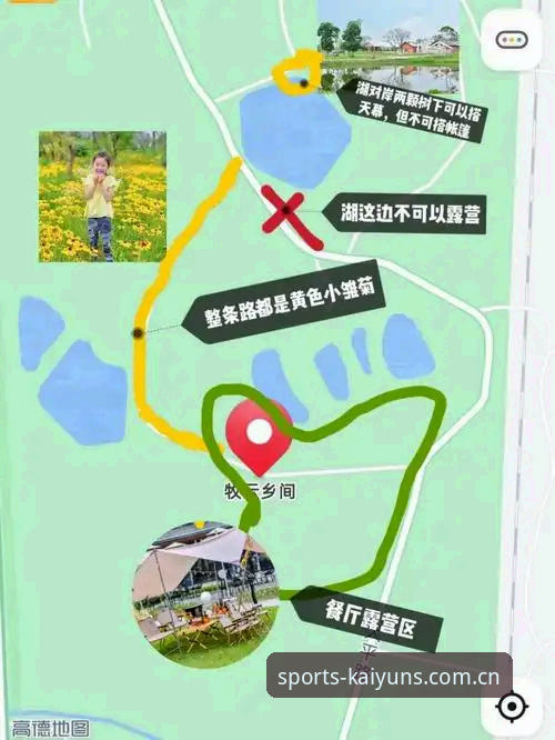 开云体育玩家体验常见问题实用指南——资深用户带你避坑